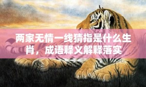 两家无情一线猜指是什么生肖，成语释义解释落实