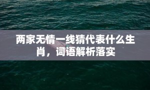 两家无情一线猜代表什么生肖，词语解析落实