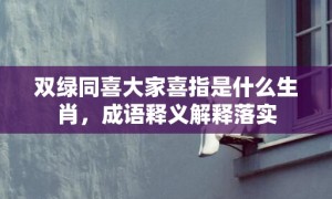 双绿同喜大家喜指是什么生肖，成语释义解释落实