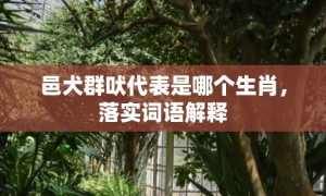 邑犬群吠代表是哪个生肖，落实词语解释