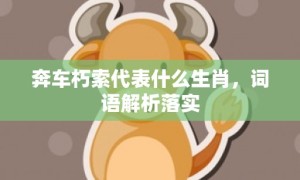 奔车朽索代表什么生肖，词语解析落实