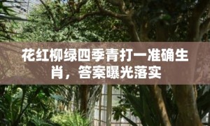 花红柳绿四季青打一准确生肖，答案曝光落实