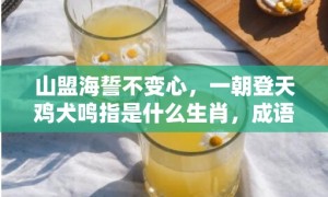 山盟海誓不变心，一朝登天鸡犬鸣指是什么生肖，成语释义解释落实