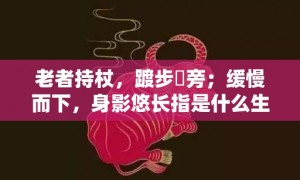 老者持杖，踱步階旁；缓慢而下，身影悠长指是什么生肖，释义成语落实解释