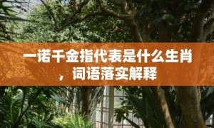 一诺千金指代表是什么生肖，词语落实解释