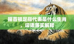 摇首顿足指代表是什么生肖，词语落实解释