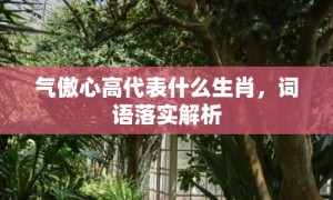 气傲心高代表什么生肖，词语落实解析