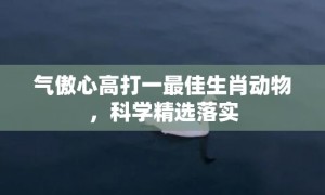 气傲心高打一最佳生肖动物，科学精选落实