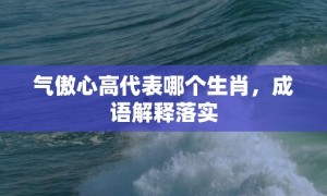 气傲心高代表哪个生肖，成语解释落实