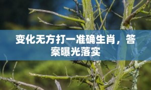 变化无方打一准确生肖，答案曝光落实