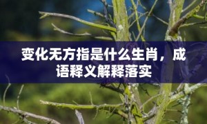 变化无方指是什么生肖，成语释义解释落实