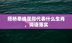 搭桥牵线是指代表什么生肖，词语落实