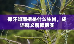 挥汗如雨指是什么生肖，成语释义解释落实