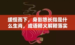 缓慢而下，身影悠长指是什么生肖，成语释义解释落实