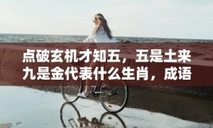 点破玄机才知五，五是土来九是金代表什么生肖，成语科学释义落实