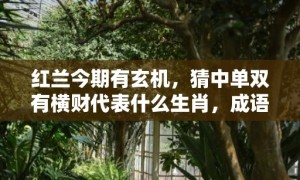 红兰今期有玄机，猜中单双有横财代表什么生肖，成语科学解释落实