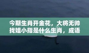 今期生肖开金花，大将无帅找姐小指是什么生肖，成语释义解释落实