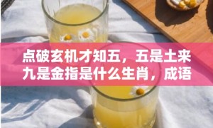 点破玄机才知五，五是土来九是金指是什么生肖，成语释义解释落实