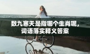 数九寒天是指哪个生肖呢，词语落实释义答案