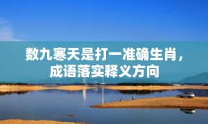 数九寒天是打一准确生肖，成语落实释义方向