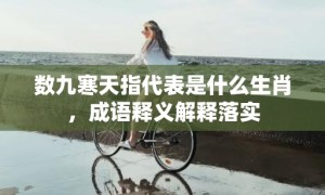 数九寒天指代表是什么生肖，成语释义解释落实