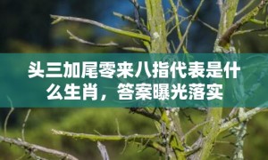 头三加尾零来八指代表是什么生肖，答案曝光落实