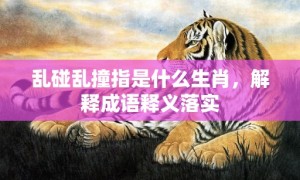 乱碰乱撞指是什么生肖，解释成语释义落实