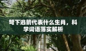 弩下逃箭代表什么生肖，科学词语落实解析