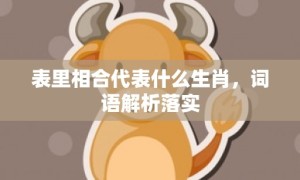 表里相合代表什么生肖，词语解析落实