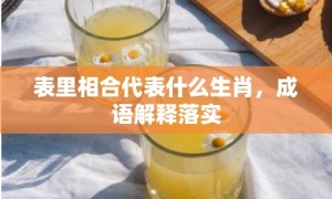 表里相合代表什么生肖，成语解释落实