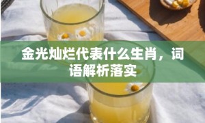 金光灿烂代表什么生肖，词语解析落实