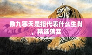 数九寒天是指代表什么生肖，精选落实