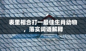 表里相合打一最佳生肖动物，落实词语解释