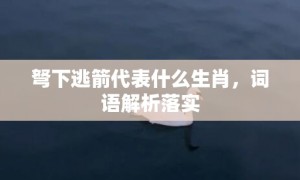 弩下逃箭代表什么生肖，词语解析落实