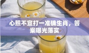 心照不宣打一准确生肖，答案曝光落实