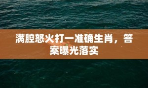 满腔怒火打一准确生肖，答案曝光落实