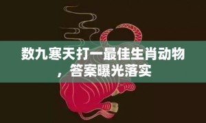 数九寒天打一最佳生肖动物，答案曝光落实