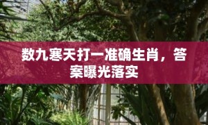 数九寒天打一准确生肖，答案曝光落实