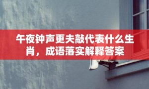 午夜钟声更夫敲代表什么生肖，成语落实解释答案