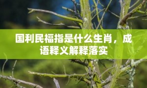 国利民福指是什么生肖，成语释义解释落实