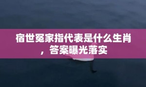 宿世冤家指代表是什么生肖，答案曝光落实