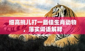 细高挑儿打一最佳生肖动物，落实词语解释