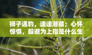 狮子遇豹，速速潜藏；心怀惊惧，躲避为上指是什么生肖，成语释义解释落实