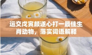 运交戊寅颇遂心打一最佳生肖动物，落实词语解释