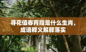 寻花值春宵指是什么生肖，成语释义解释落实