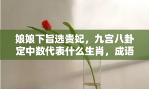 娘娘下旨选贵妃，九宫八卦定中数代表什么生肖，成语解释落实