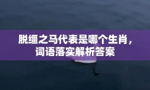 脱缰之马代表是哪个生肖，词语落实解析答案