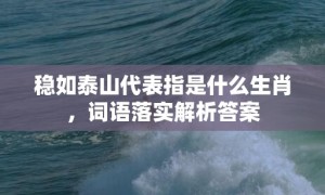 稳如泰山代表指是什么生肖，词语落实解析答案