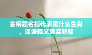 金榜题名指代表是什么生肖，词语释义落实解释