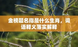 金榜题名指是什么生肖，词语释义落实解释